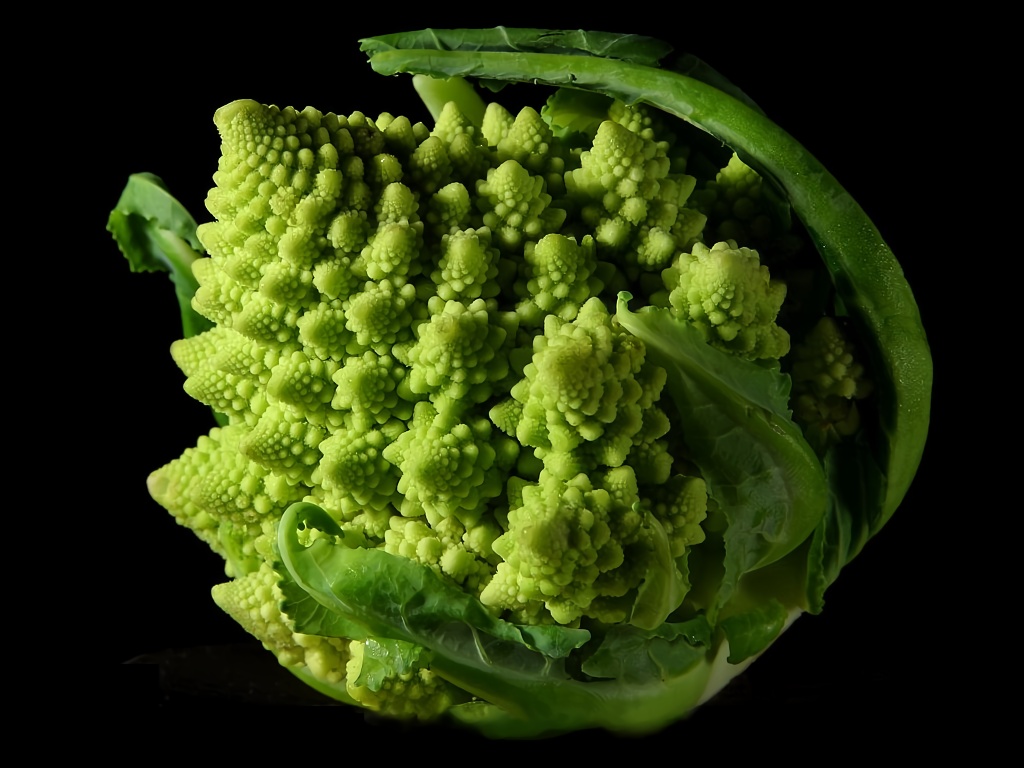 Fractales du chou romanesco