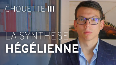 faisabilité de l'histoire, synthèse hégélienne